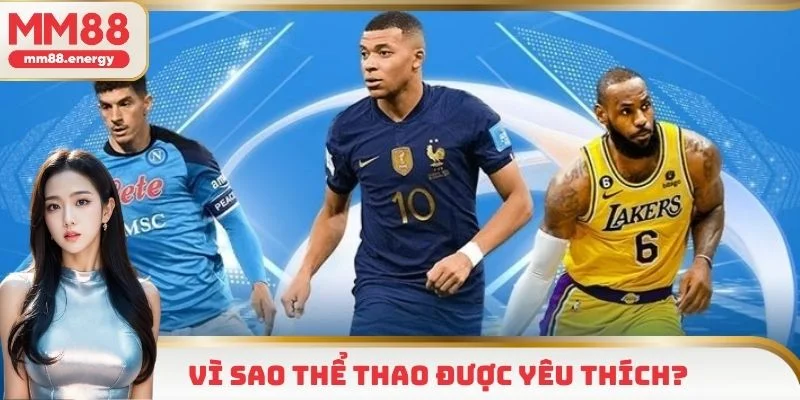 Lý do sảnh thể thao được yêu thích hàng đầu 