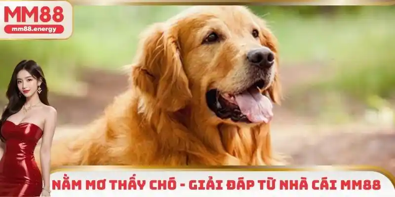 Nằm mơ thấy chó